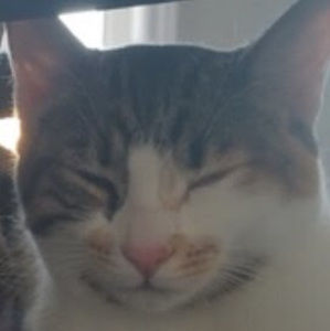 Meet your Posher, Aera